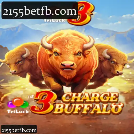 3ChargeBuffalo